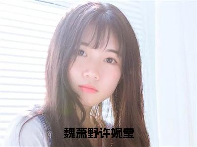 许婉莹魏萧野（魏萧野许婉莹）小说最新章节-魏萧野许婉莹全文免费阅读无弹窗大结局