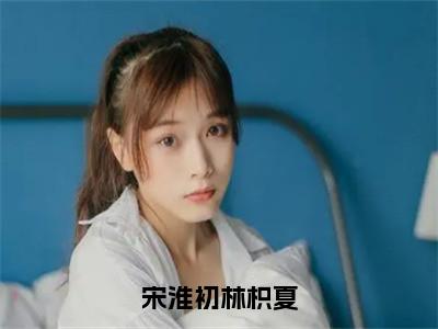 宋淮初林枳夏（宋淮初林枳夏）全文免费阅读无弹窗大结局_宋淮初林枳夏免费阅读无弹窗