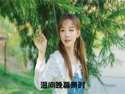 （热推新书）《温向晚慕景时》全文免费阅读最新章节大结局-温向晚慕景时无弹窗阅读