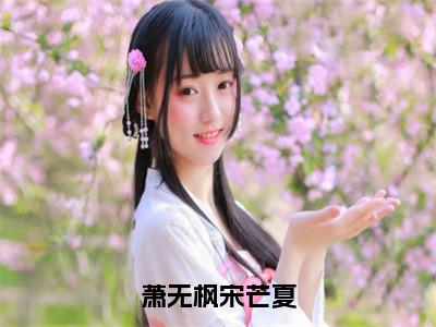 萧无枫宋芒夏（宋芒夏萧无枫）全文免费阅读无弹窗大结局_萧无枫宋芒夏免费阅读无弹窗最新章节列表