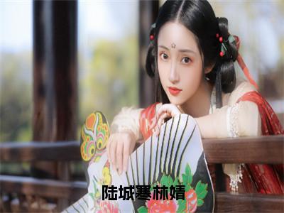 陆城寒林婧（林婧陆城寒）精选好书-林婧陆城寒无删减版在线阅读（林婧陆城寒全文免费阅读）