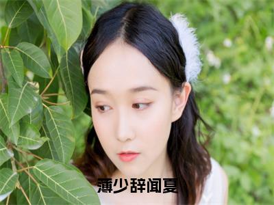 薄少辞闻夏（闻夏薄少辞小说）小说全文免费阅读_闻夏薄少辞小说下载_最新章节列表笔趣阁（薄少辞闻夏）