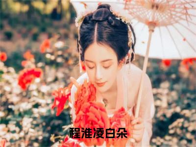 程淮凌白朵（白朵程淮凌）小说全文免费阅读_（白朵程淮凌）小说全文无删减版在线阅读