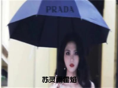 苏灵雨霍焰全文免费阅读无弹窗大结局_苏灵雨霍焰全文阅读_笔趣阁（霍焰苏灵雨）