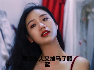 穆少夫人又掉马了顾蓝的小说全文免费阅读无弹窗，顾蓝的小说在线免费阅读大结局（顾蓝）