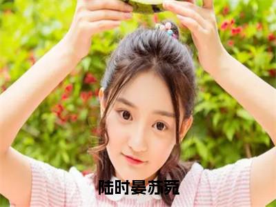 陆时晏苏菀（苏菀陆时晏）全文免费阅读无弹窗大结局_陆时晏苏菀最新章节列表