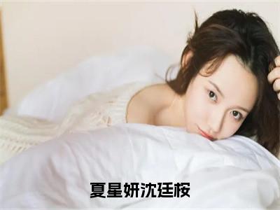 小说夏星妍沈廷桉免费阅读-（沈廷桉夏星妍）全文无弹窗阅读