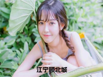 江宁顾北城美文欣赏完整版，顾北城江宁精彩章节在线阅读