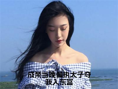 成亲当晚偏执太子夺我入东宫（贺玥宁如颂）小说-成亲当晚偏执太子夺我入东宫小说免费最新章节列表