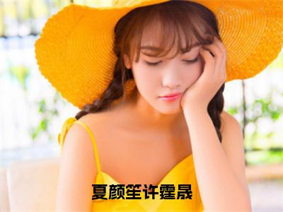 夏颜笙许霆晟（夏颜笙许霆晟）全文免费阅读无弹窗大结局_夏颜笙许霆晟热门小说最新章节阅读