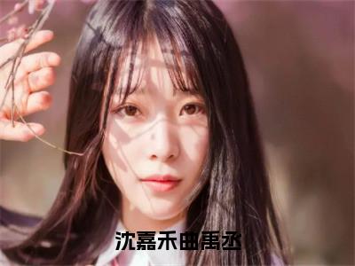 沈嘉禾曲禹丞全文免费阅读无弹窗大结局_（沈嘉禾曲禹丞）曲禹丞沈嘉禾最新章节列表_笔趣阁