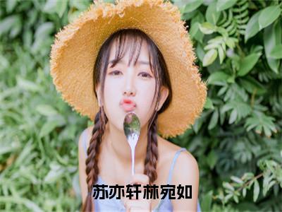 林宛如苏亦轩小说苏亦轩林宛如在哪里可以看-主角是林宛如苏亦轩的小说苏亦轩林宛如