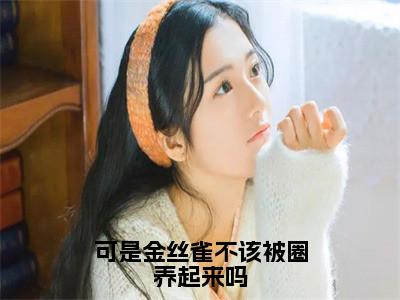 可是金丝雀不该被圈养起来吗全文免费阅读_（宁辛远郁真免费阅读无弹窗）宁辛远郁真最新章节列表笔趣阁