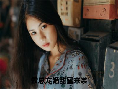 樊蒂顾嫣小说-霸总宠婚甜蜜来袭最新章节全文阅读