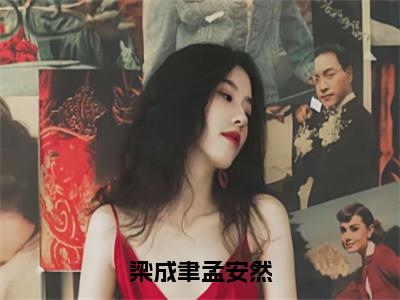 梁成聿孟安然精选热门好书-梁成聿孟安然（梁成聿孟安然）全文无删减版在线阅读