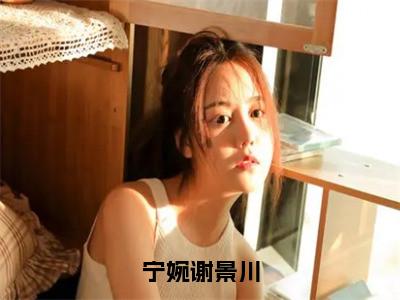 宁婉谢景川小说全文（宁婉谢景川）全文免费阅读无弹窗大结局_宁婉谢景川小说全文最新章节列表