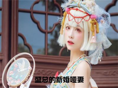 盛总的新婚哑妻（炎凉盛泊言）全文免费阅读_盛总的新婚哑妻全文阅读_笔趣阁（炎凉盛泊言）