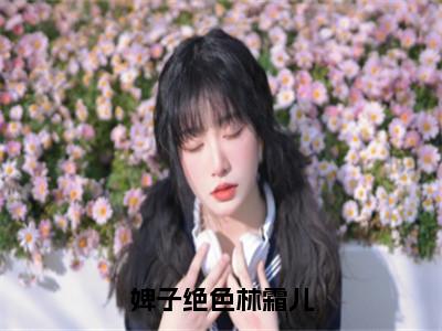 夜北承林霜儿（婢子绝色林霜儿）小说结局-夜北承林霜儿全文无弹窗阅读